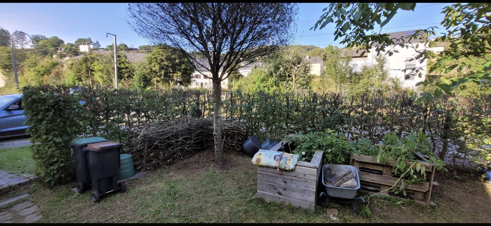Fertige Benjeshecke am Gartenrand unter dem Baum