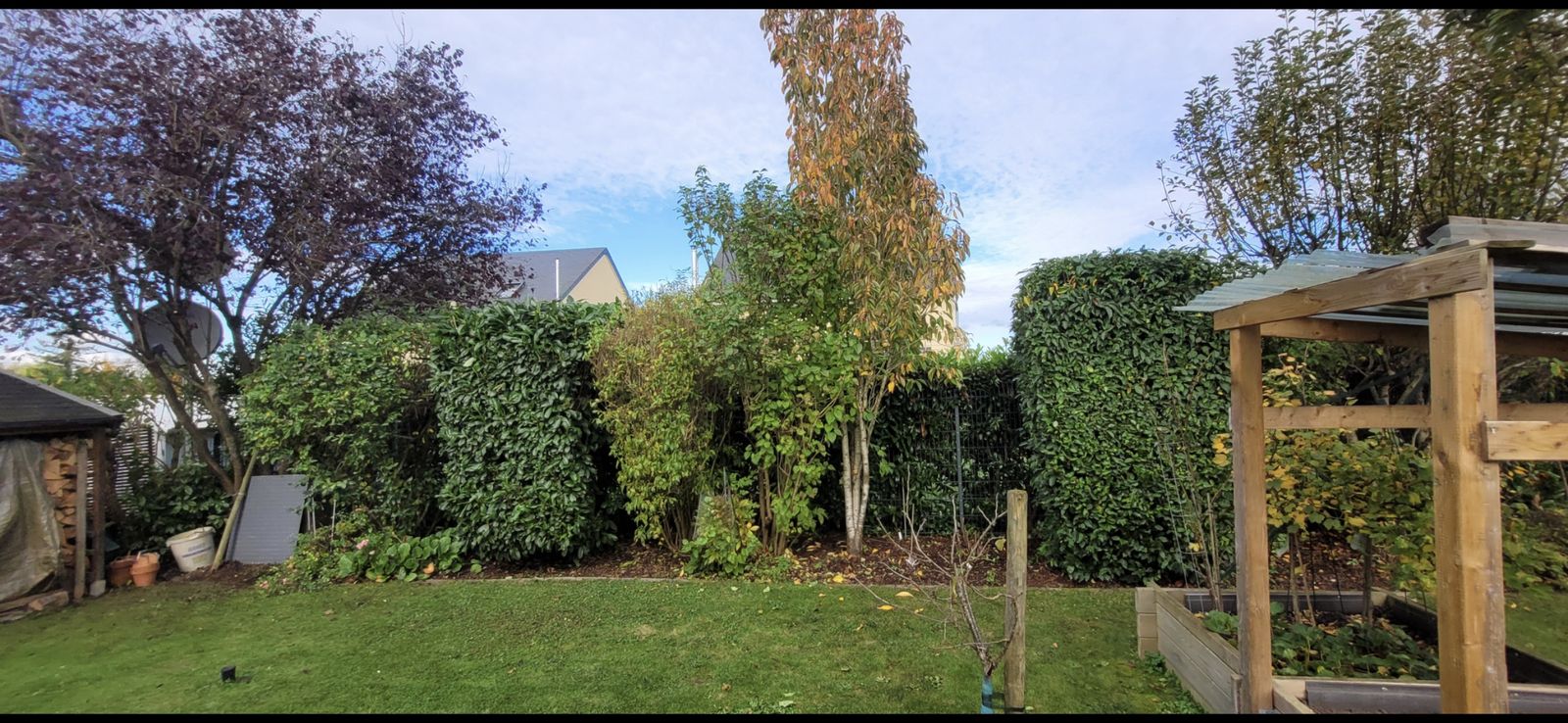 Garten mit sauber in Form geschnittenen Hecken