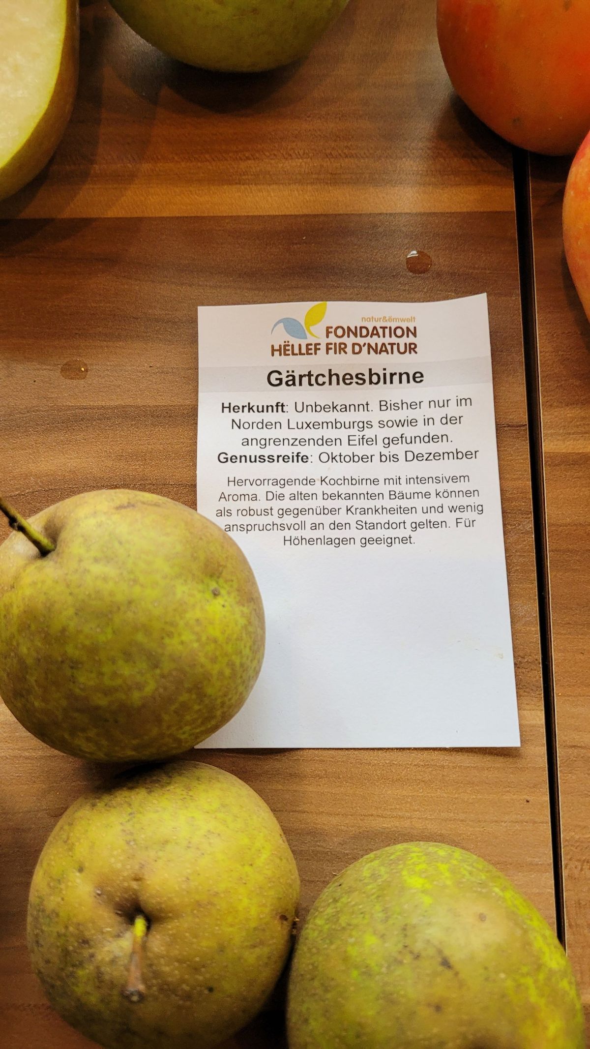 Gärtchesbirne – alte Lokalsorte aus dem Norden Luxemburgs